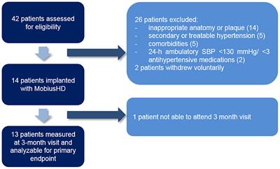 The effect of endovascular baroreflex amplification on central sympathetic nerve circuits and cerebral blood flow in patients with resistant hypertension: A functional MRI study